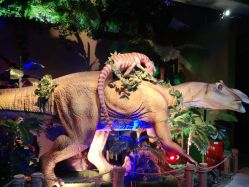 -恐龙探索乐园(磁器口店)