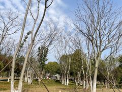 -洋湖国家湿地公园