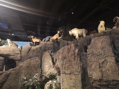 -陕西自然博物馆