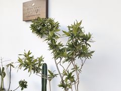 -AHAVA·Fang Baking Studio