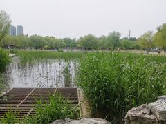 -太阳宫公园