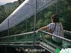 -华西村