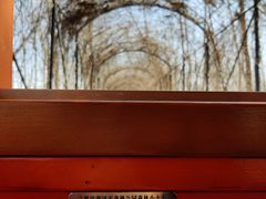 -合肥滨湖国家森林公园