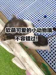 -萌宠亲子动物乐园(槐房万达店)