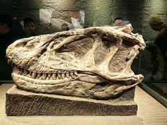 -自贡恐龙博物馆