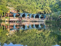 -西双版纳原始森林公园