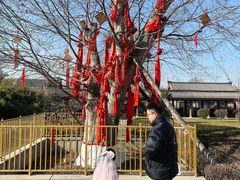 -西安汉城湖景区