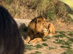 -石家庄市动物园