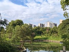 -八大山人梅湖景区