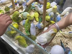 -三旗百汇商品城