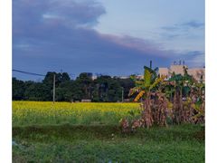 -天龙顶山地公园