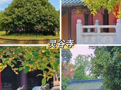 -鸡鸣寺