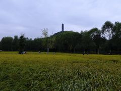 -北坞公园