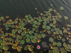 -苏州太湖湖滨国家湿地公园