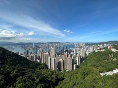 -太平山顶