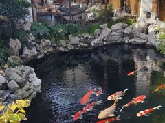 -鲤院·新中式美学·庭院餐厅(夫子庙店)