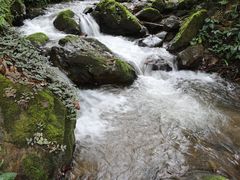 -莫里热带雨林景区