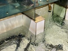 -小乡小镇·传承桐庐土菜·老板亲自烧的菜