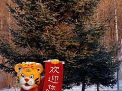 -横道河子东北虎林园