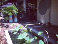-T館·花园艺术餐厅