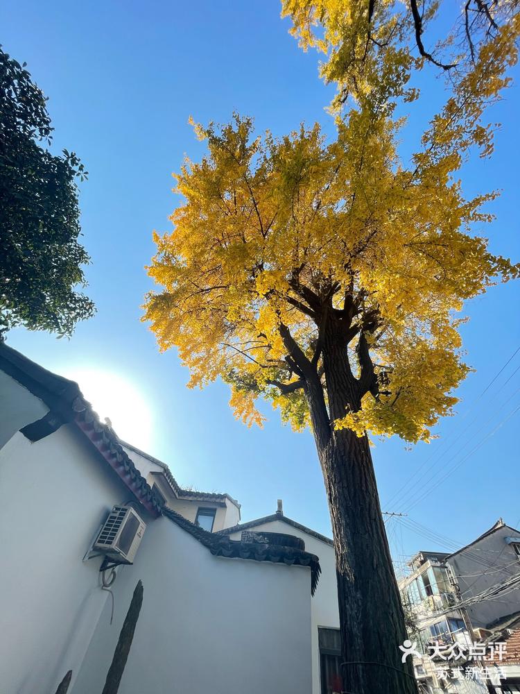 苏州春申君庙-大众点评