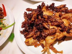 -日丰园海肠水饺·老字号大连海鲜(和平广场店)