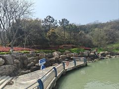 -巢湖姥山岛