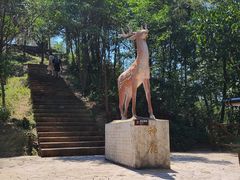 -仙岛湖旅游风景区