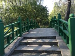 -望湖公园