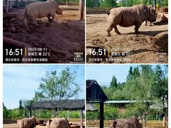 -鄂尔多斯野生动物园