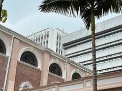 -香港大学