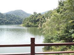 -广州市石门国家森林公园