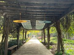 -白马涧龙池景区