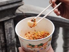 -半月镰胡姐脆皮萝卜饺子