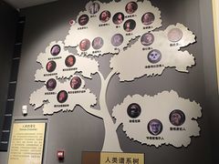 -辽宁古生物博物馆