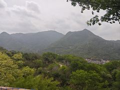 -东莞植物园