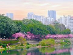 -望江楼公园
