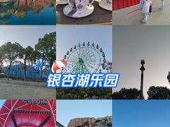 -南京银杏湖乐园