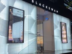 -BLACKSWAN黑天鹅(环球店)
