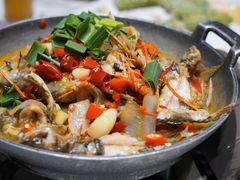 -阿露佳·舌尖上的安吉菜