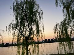 -艾溪湖湿地公园