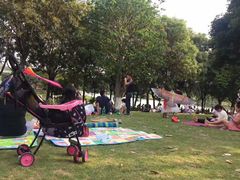 -东莞植物园