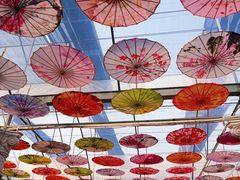 -广东花都香草世界旅游度假区