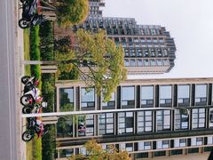 -南翔镇银翔湖公园