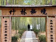-大奇山国家森林公园
