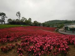 -天河潭旅游度假区