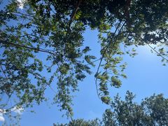 -雅鲁激流探险漂流