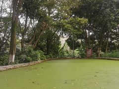 -成都市活水公园