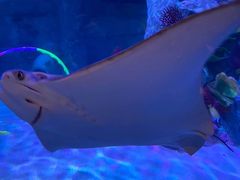 -沈阳海洋探索中心