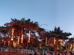 -万泉公园